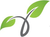 Zana Landscape & Design Contractor PLC logo